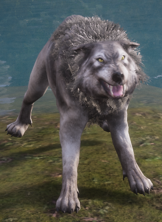 Wolf.png