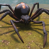 Black Widow.png
