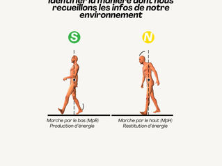 ​​Mieux se connaître pour mieux identifier la manière dont nous recueillons les infos de notre environnement