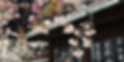_edited_edited