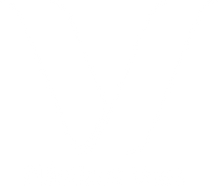 Logo_PlasticosVoss_Bco.png