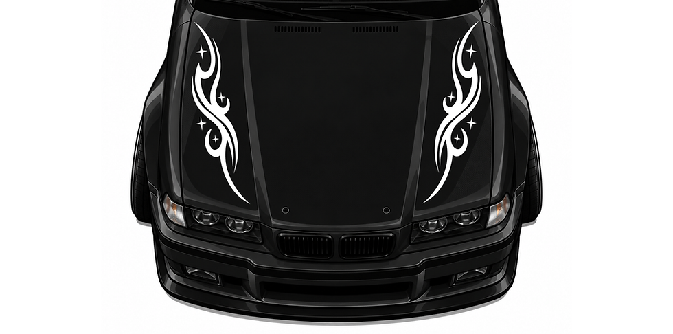 SELENO HOOD.png