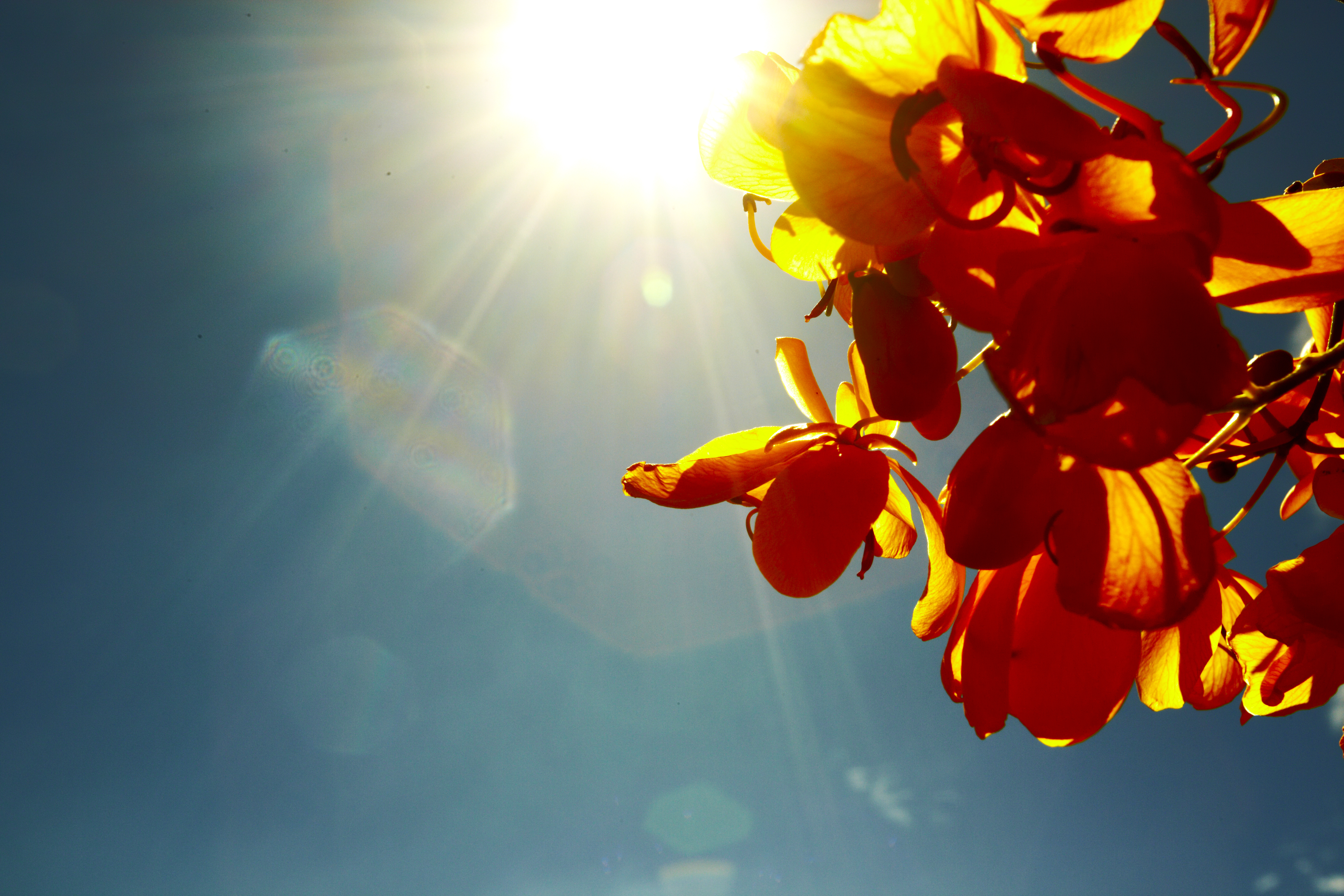 What a Bright Day