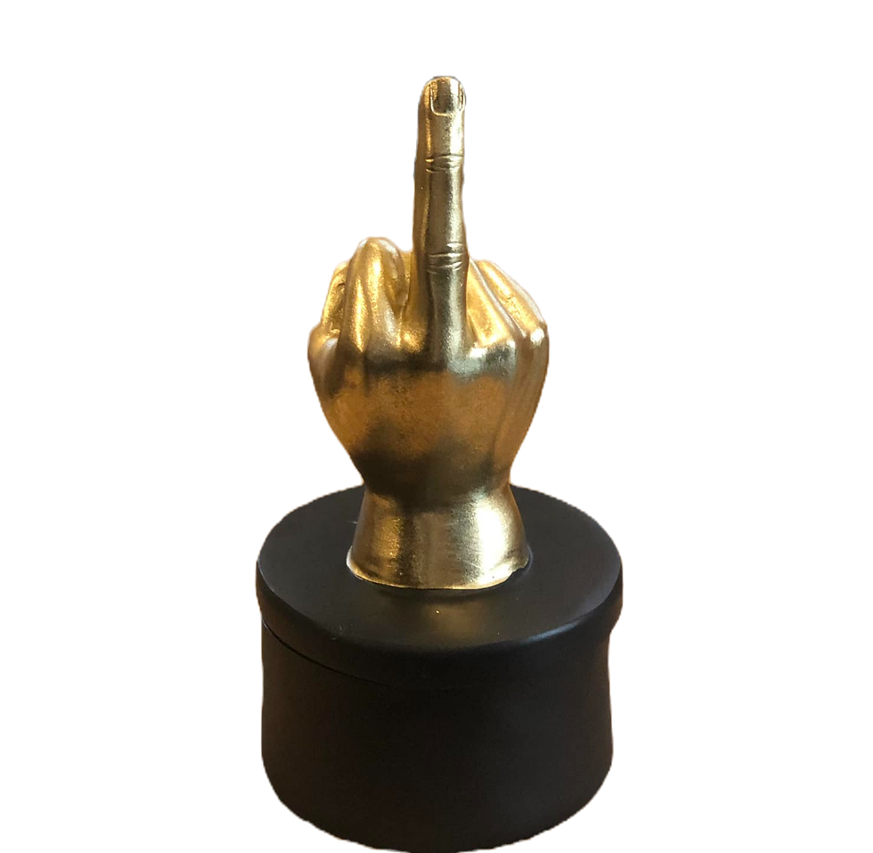 Boîte de rangement - doigt - fuck