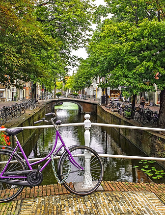river cruise bike.jpg