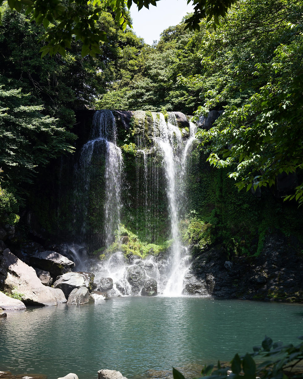 Emerald pool waterfall in Dominica