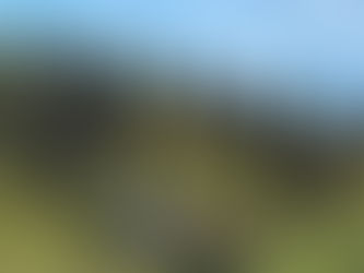 Teufen: Hecke im Jonenbüel erweitert und aufgewertet