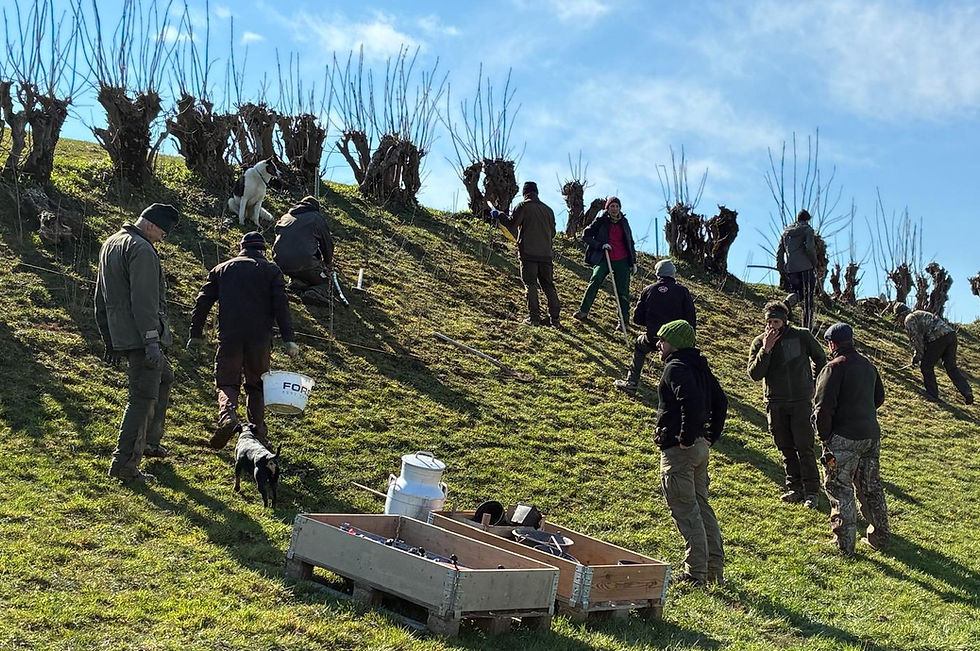 Teufen: Hecke im Jonenbüel erweitert und aufgewertet