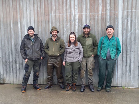 Ein Biotop für Vögel, Insekten und Amphibien