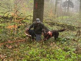 Bericht vom ersten Hundeübungstag «Schweiss» des PJV AR 11. + 12.04.2026