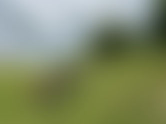 Einsatz für Natur und Biodiversität in der Schossweid