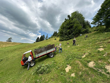 Einsatz für Natur und Biodiversität in der Schossweid