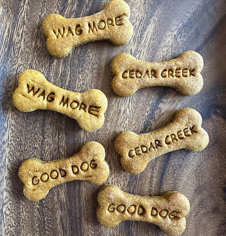 dog treat background.jpg