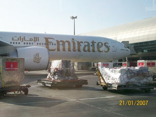 cabin crew job