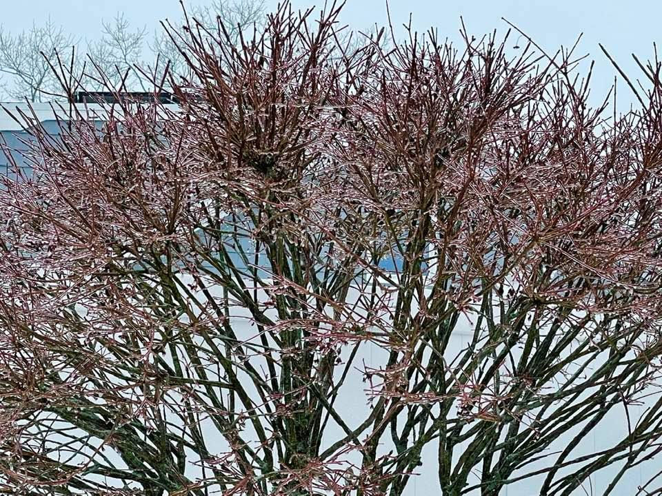 Eye-level view of a quiet room with soft lighting and a comfortable chair
