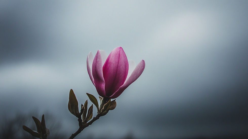 Dreams in Grief: a Path to Healing