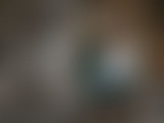 Hilton Falls Conservation Area Engagement Photography