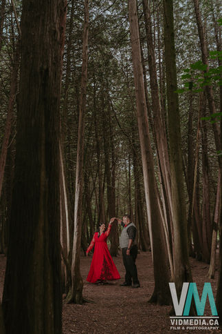Vertical portrait of an engaged couple surrounded by tall trees in Elora.