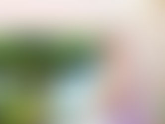 Why Plan a Destination Wedding in Mexico?