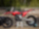 Rental Fleet (2 of 20).jpg