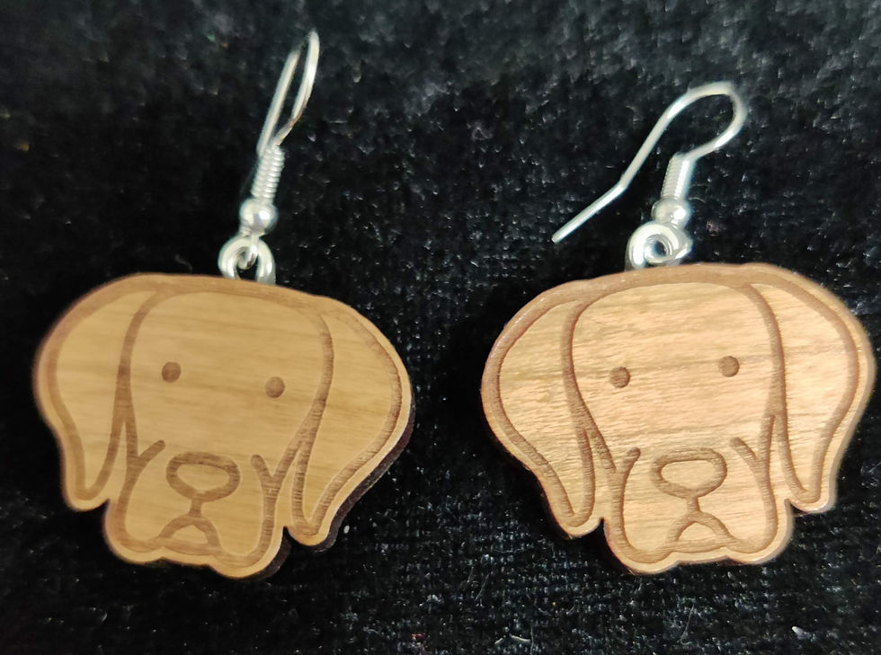 IMG_20230421_142436_edited