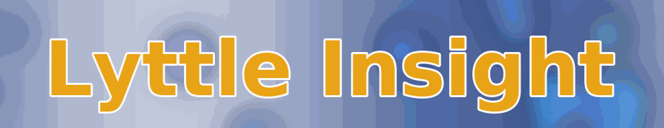 lyttle_insight_banner_dark.gif