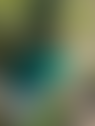 Blue Eye in Theth - Tiefes Loch mit blauem Wasser