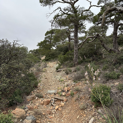 Wanderweg im Troodos-Gebirge