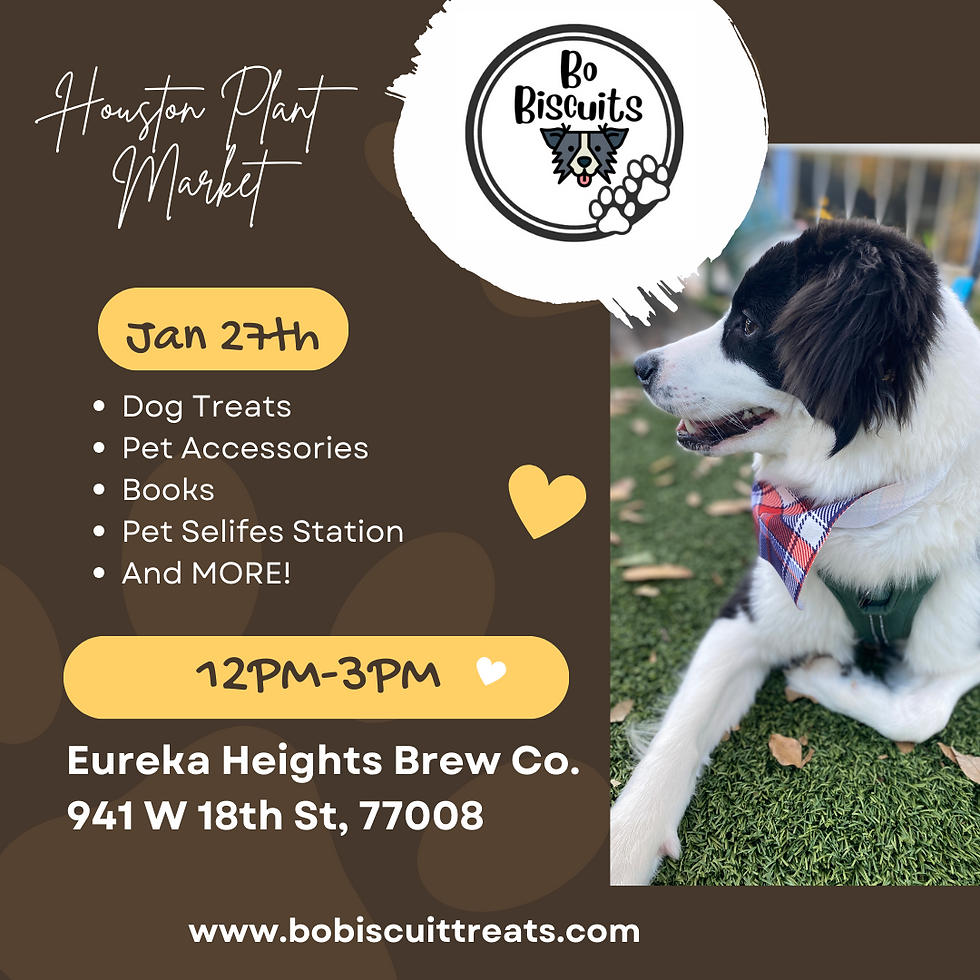 Houston Plant Market: Eureka Heights Brewery