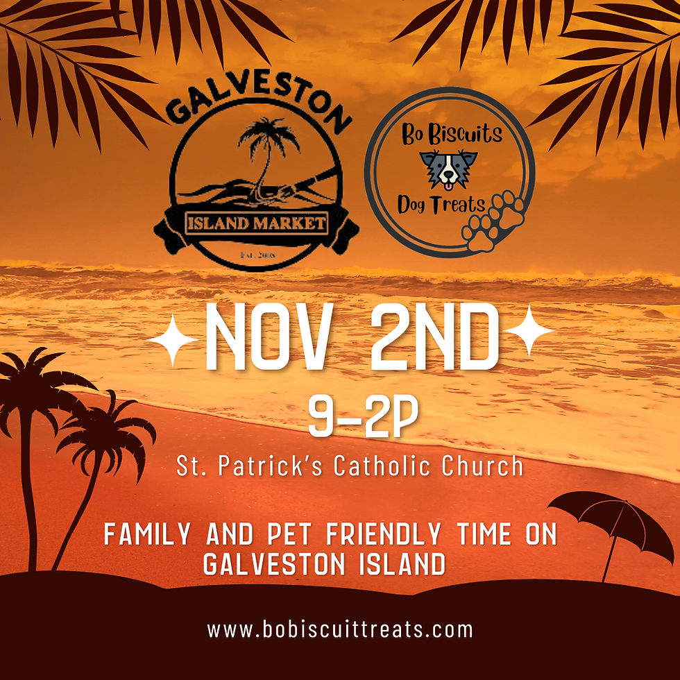 Galveston Island Market 