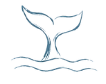 Delicate Whale Tail.png