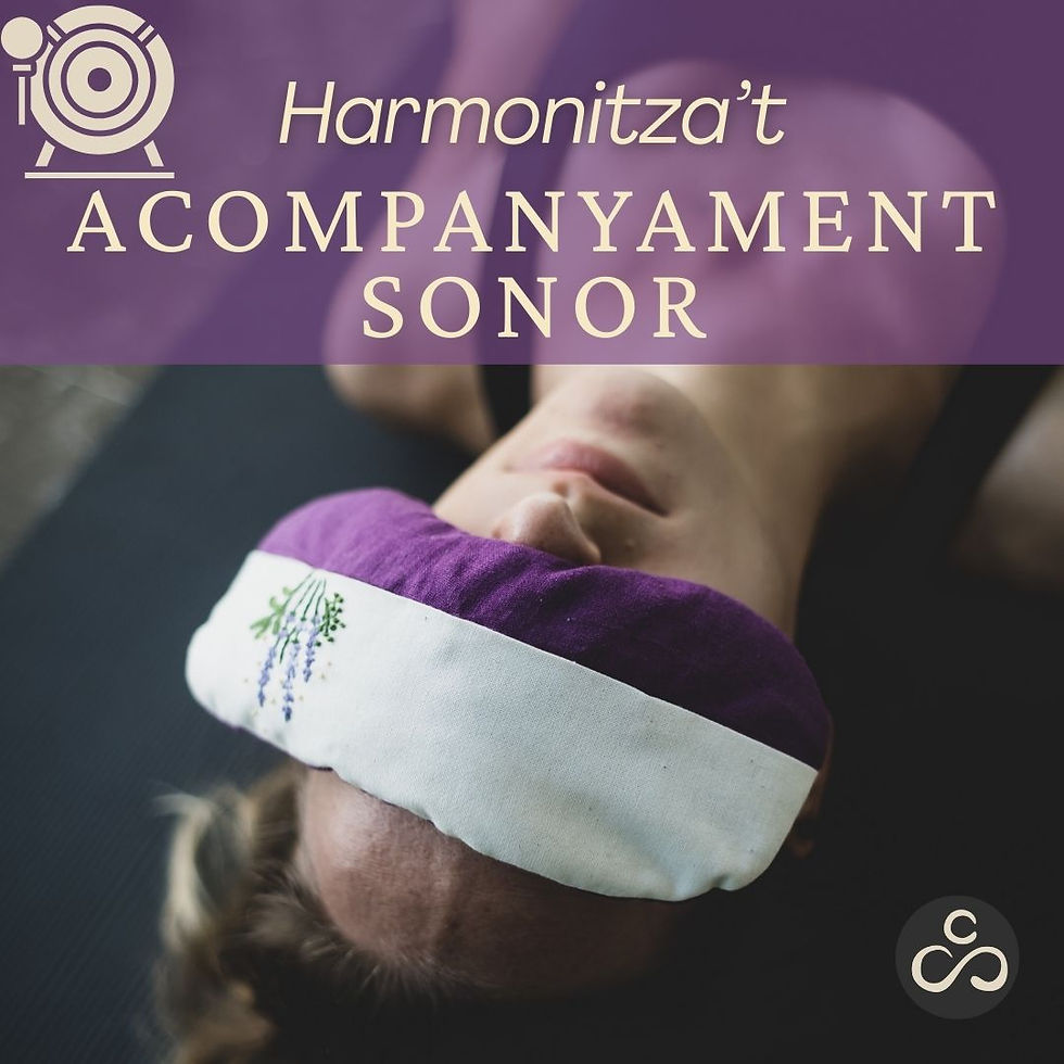 ACOMPANYAMENT SONOR. HARMONITZA'T