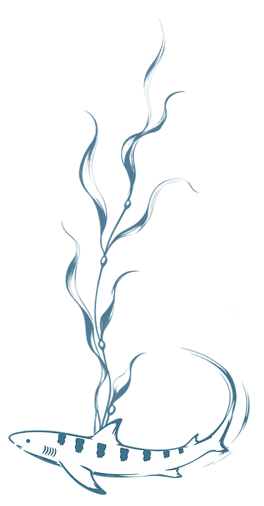 Waves of Change Micro Style Guide.png
