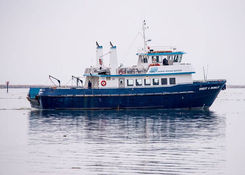 2MSI_DSC_5851.jpg