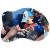 Untitled design (4).png