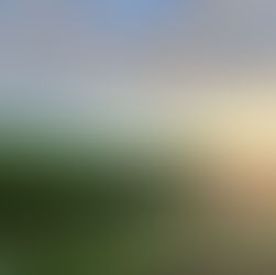 A Beginner’s Guide to Burgundy Wine — and How The Burgundy Wine Vault Can Help