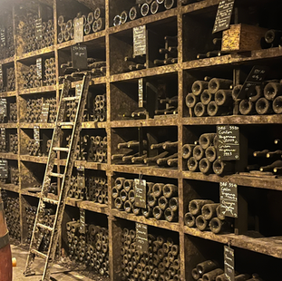 What Ten Years in Burgundy Taught Me About Wine and History