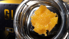 Deals, Drops, And Giveaways