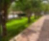 KKayeAgEdwardRainGarden.JPG