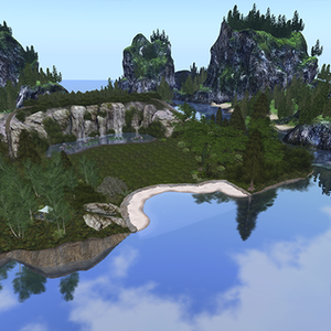 Forest Retreat
