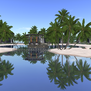 Beach Tropical
