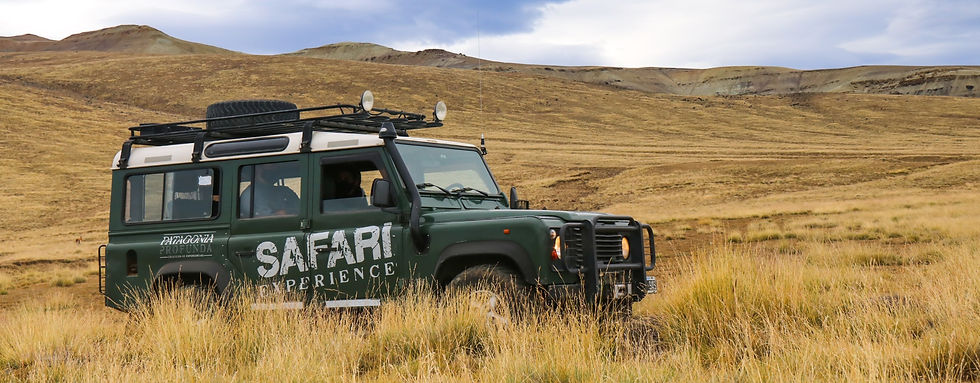 safari 4x4 patagonia argentina, fauna autóctona