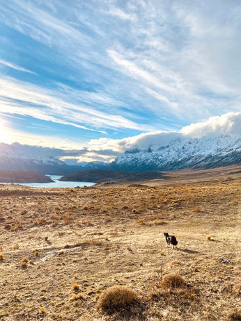 paisaje patagonia argentina