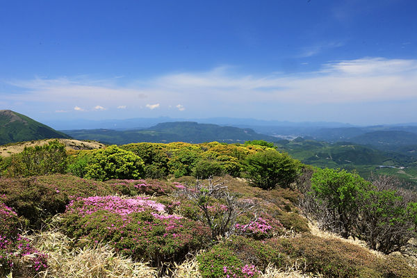 9福岡方面.jpg