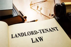 landlord-tenant-disputes-lawyers.webp