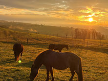 Comment soulager le mal de tête de manière naturelle ?