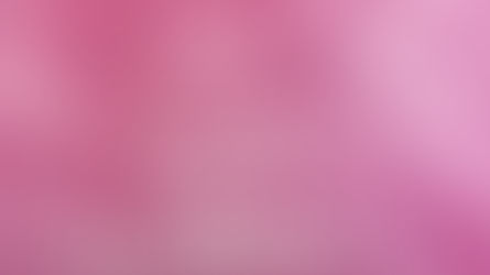 Carnet Rose