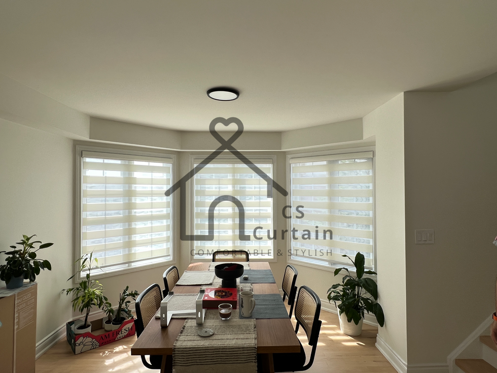 Zebra Blinds 斑馬簾