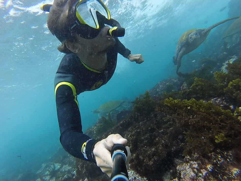Close-up view of a snorkeler exploring underwater marine life