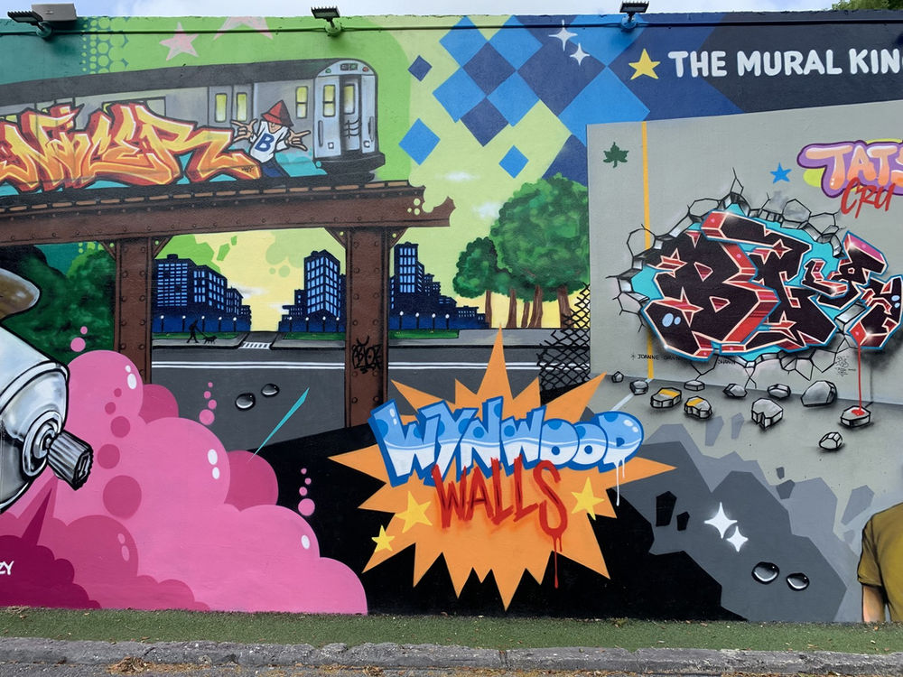 Miami Outdoors the Graffiti Art of Wynwood Walls and Nature Walks
